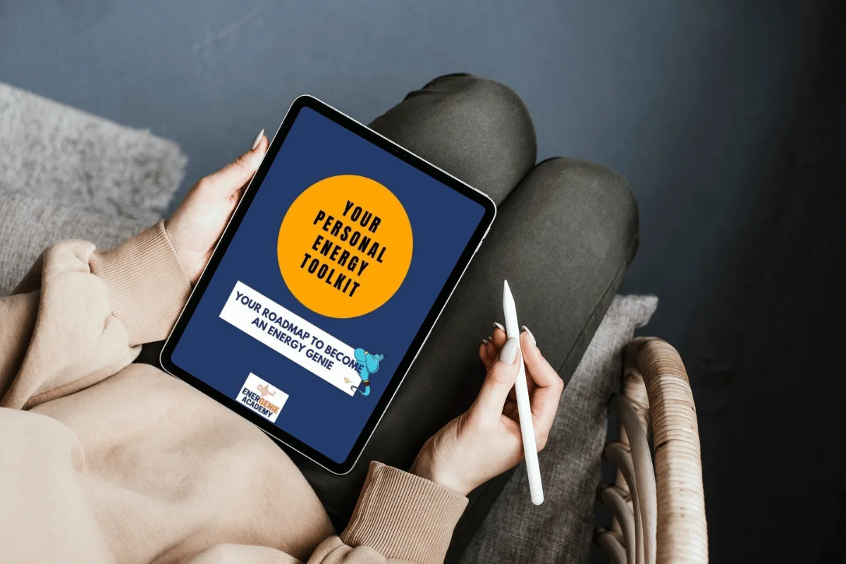 Personal Energy Toolkit by R Sridhar